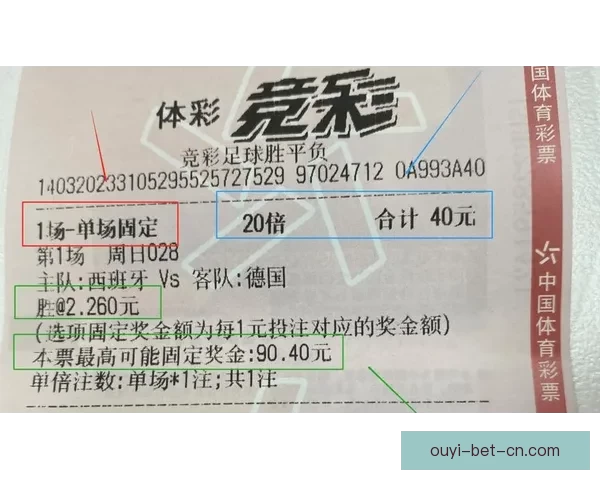 世界杯体育竞猜官网全新攻略指南让你轻松掌握赛事投注技巧